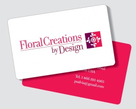 Business Card & Stationery Design entry 314043 submitted by flyingclours
