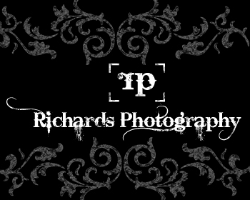Logo Design entry 320046 submitted by NYdesigner to the Logo Design for www.richardsphotographysite.com run by drichards