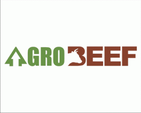 Logo Design Entry 322532 submitted by Ocen to the contest for AgroBeef run by harleydav