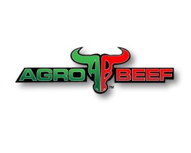 Logo Design entry 322570 submitted by atrsar1 to the Logo Design for AgroBeef run by harleydav