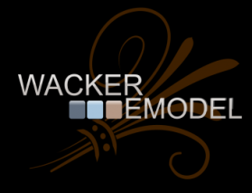 Logo Design Entry 324335 submitted by robin to the contest for www.wackerremodel.com run by lwacker
