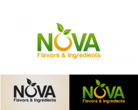 Logo Design Entry 334072 submitted by g'twtz to the contest for Nova Flavors & Ingredients run by Henry Rosset