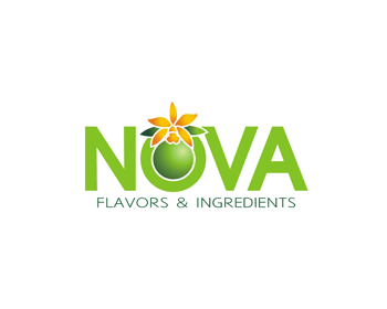 Logo Design entry 334310 submitted by geerre to the Logo Design for Nova Flavors & Ingredients run by Henry Rosset