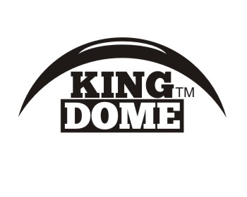 Logo Design entry 335056 submitted by kopira to the Logo Design for KingDome™ run by StypeCreative