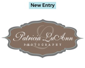 Logo Design entry 436424 submitted by jewelsjoy