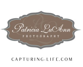 Another design by jewelsjoy submitted to the Logo Design for Cory Garber Photography by cory.garber