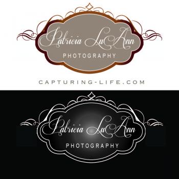 Logo Design entry 436515 submitted by schk