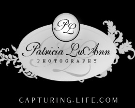 A similar Logo Design submitted by room168 to the Logo Design contest for TAILored Pet Services LLC by TAILored_Pet_Services