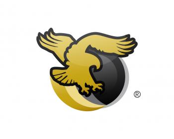 Logo Design entry 342013 submitted by mohdesign to the Logo Design for Great Golden Eagle International run by greatgoldeneagleinternational