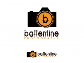 Logo Design entry 350241 submitted by ritchie100203
