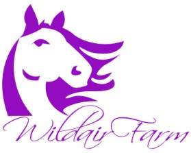 Logo Design entry 345735 submitted by blake to the Logo Design for Wildair Farm run by Wildair Farm