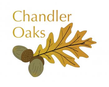 Logo Design entry 349451 submitted by maxdesign to the Logo Design for Chandler Oaks run by dsour