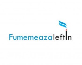 Logo Design entry 350418 submitted by danby to the Logo Design for fumeaza ieftin run by fumeazaieftin