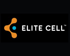 Logo Design entry 358019 submitted by greycrow to the Logo Design for ELITE CELL run by airafox