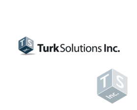Logo Design entry 358201 submitted by dumber to the Logo Design for TurkSolutions run by shawnturk