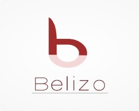 Logo Design entry 363315 submitted by alexander7 to the Logo Design for Belizo.com run by exbyu.com@gmail.com