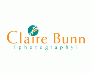 Logo Design entry 189087 submitted by forindet