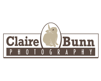 Logo Design entry 191155 submitted by 894983743984