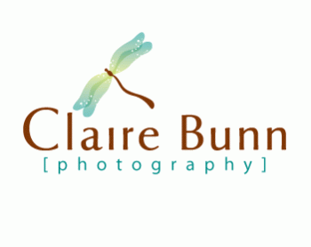 Logo Design entry 192646 submitted by forindet