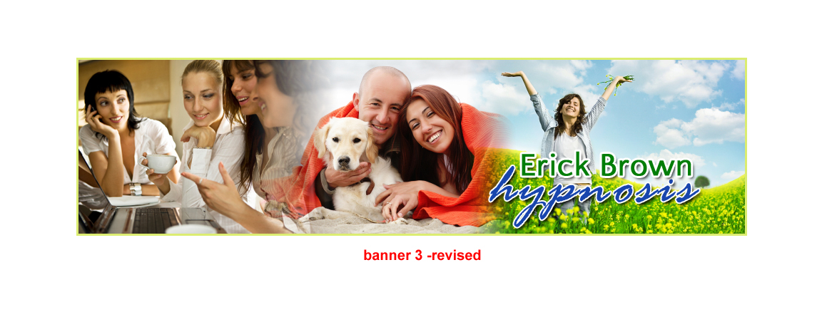 Banner Ad Design entry 377142 submitted by drake