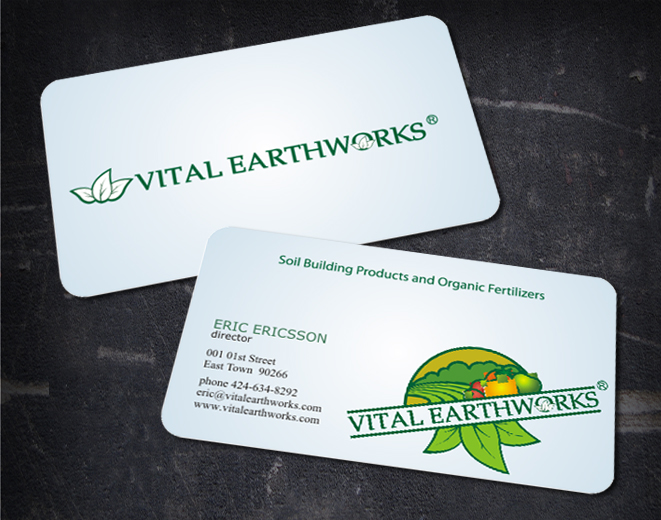 Business Card & Stationery Design entry 377544 submitted by skyford412