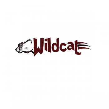 Graphic Design entry 370161 submitted by jjponsica to the Graphic Design for Wildcat Boat Logo run by pswenson