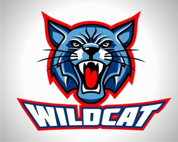 Graphic Design entry 370147 submitted by Digiti Minimi to the Graphic Design for Wildcat Boat Logo run by pswenson