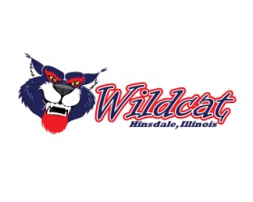 Graphic Design entry 370156 submitted by ARMIsaja to the Graphic Design for Wildcat Boat Logo run by pswenson