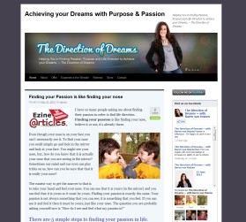 Banner Ad Design Entry 375325 submitted by drake to the contest for The Direction of Dreams run by karenvanhdesign