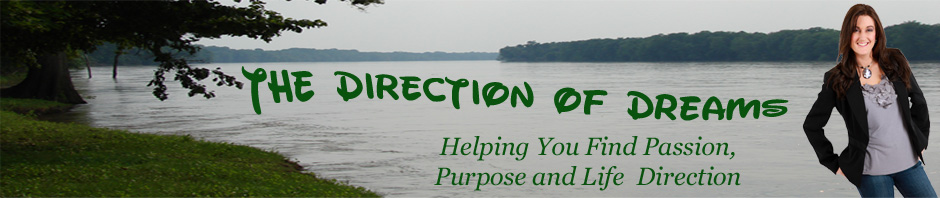 Banner Ad Design entry 370320 submitted by swhoosier to the Banner Ad Design for The Direction of Dreams run by karenvanhdesign