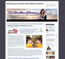 Banner Ad Design entry 370320 submitted by drake to the Banner Ad Design for The Direction of Dreams run by karenvanhdesign