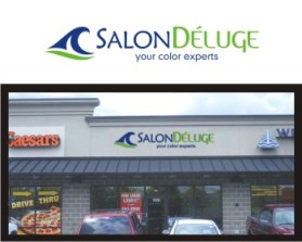 Logo Design entry 373468 submitted by aqif to the Logo Design for Salon De'luge run by Dishwasher Blonde