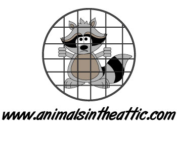 Logo Design entry 381702 submitted by debo243 to the Logo Design for www.animalsintheattic.com run by AITA
