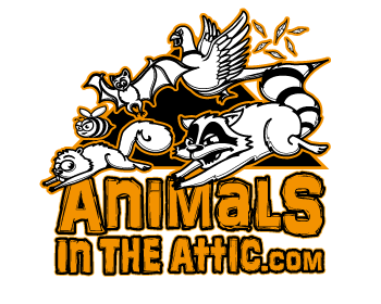 Logo Design entry 381702 submitted by NidusGraphics to the Logo Design for www.animalsintheattic.com run by AITA