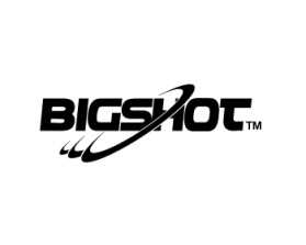 Logo Design entry 402234 submitted by dumber to the Logo Design for BigShot™ Disc run by StypeCreative
