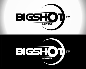 Logo Design entry 402239 submitted by dumber to the Logo Design for BigShot™ Disc run by StypeCreative