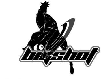 Logo Design entry 402248 submitted by JohnSparks to the Logo Design for BigShot™ Disc run by StypeCreative