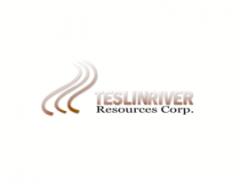 Logo Design Entry 402282 submitted by dart69 to the contest for Teslin River Resources Corp.  run by Teslin River Resources