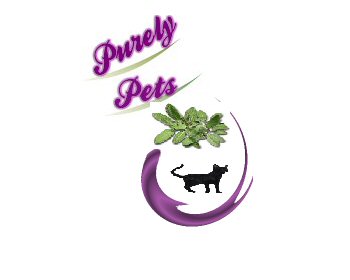 Logo Design entry 432302 submitted by Nicki_Mist