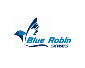 Logo Design entry 427435 submitted by greycrow to the Logo Design for Blue Ribbon Services run by sachst