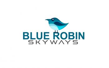 Logo Design entry 427454 submitted by einstine to the Logo Design for Blue Ribbon Services run by sachst
