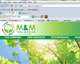 Logo Design entry 434040 submitted by Nicki_Mist to the Logo Design for M & M Tree Service / mmtrees.com run by mmtrees