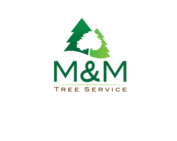 Logo Design entry 449092 submitted by annarising