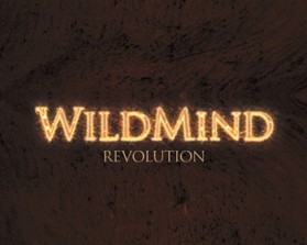 Logo Design Entry 436668 submitted by mor1 to the contest for Wild Mind Revolution run by wildmindrevolution