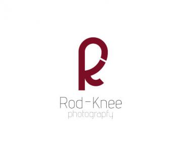 Logo Design entry 450308 submitted by Mindaugas Dudenas