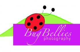 Logo Design entry 14579 submitted by christine