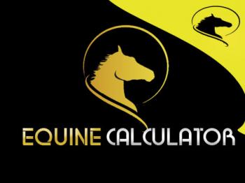 Logo Design entry 461103 submitted by fahadyousafzai to the Logo Design for Equine Calculator run by madassmedia