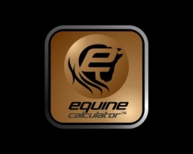 Logo Design entry 461122 submitted by longhaircat to the Logo Design for Equine Calculator run by madassmedia