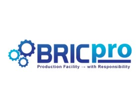 Logo Design entry 461777 submitted by artisans to the Logo Design for BRICpro run by BRICpro
