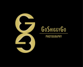 Logo Design entry 463369 submitted by designcanbeart to the Logo Design for GoShiggyGo run by goshiggy